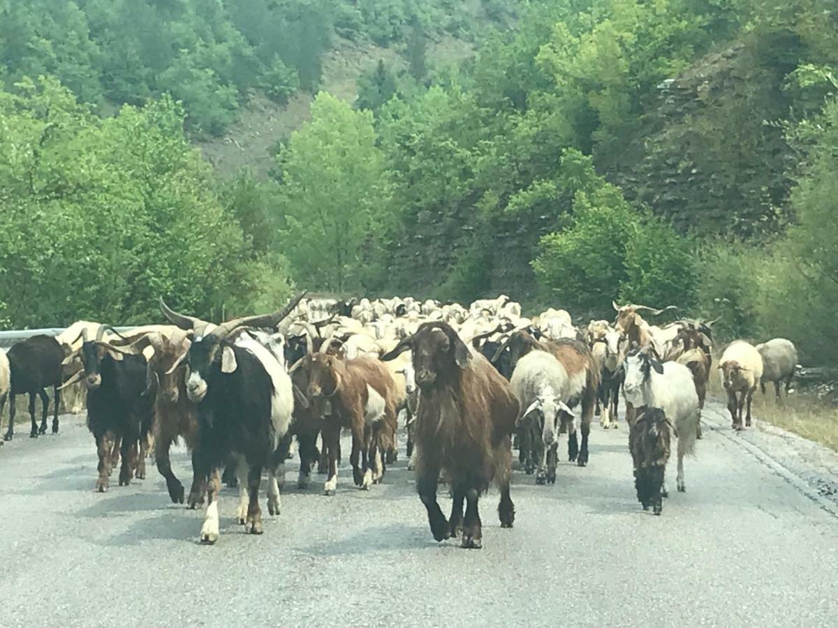 Mousafir Ontas Kapesovo Exterior foto